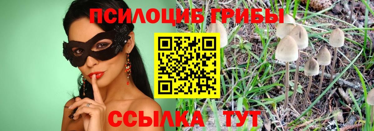 Галлюциногенные грибы ЛСД  Вход с VPN  Галлюциногенные грибы прущие грибы  Кстово 